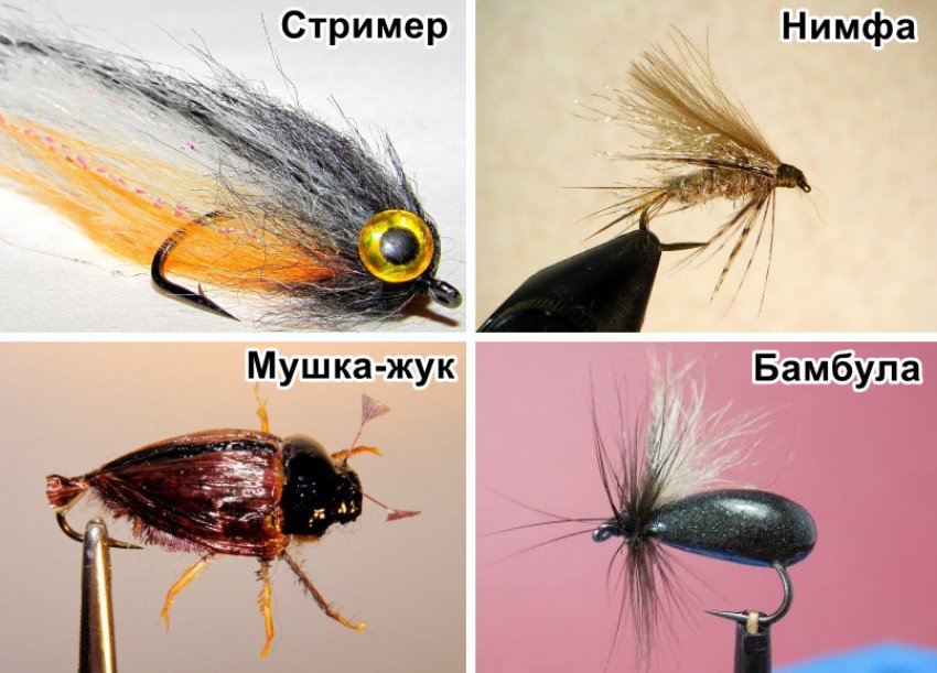 Види наживок Види наживок