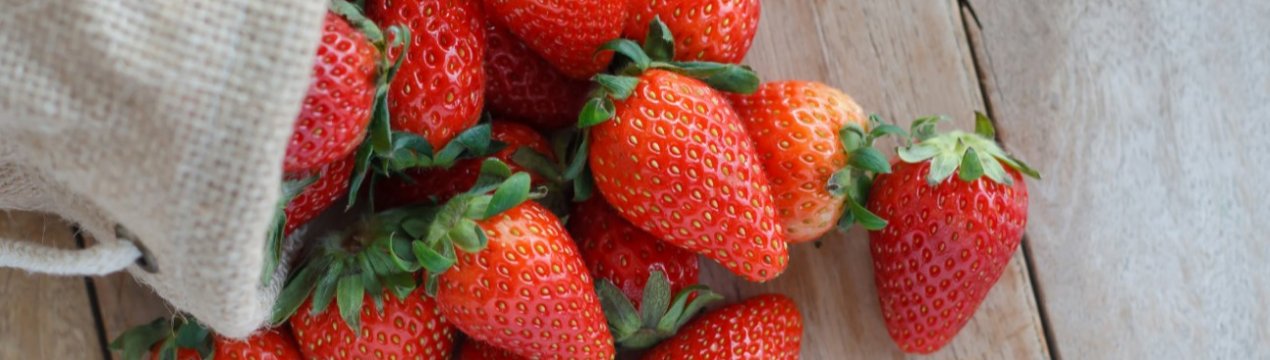 Росія реалізує японський проект тепличного вирощування полуниці