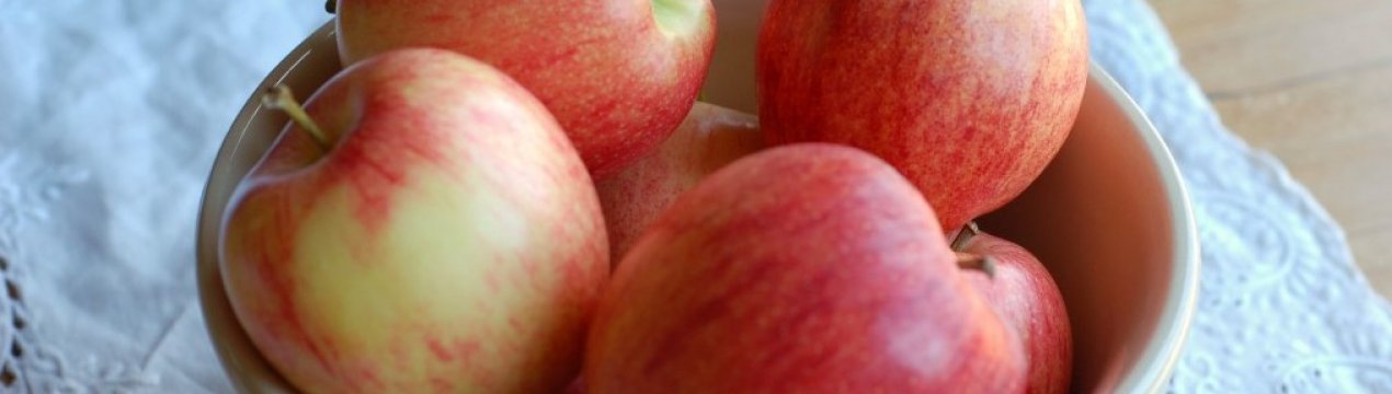 Українські городники відстають від світового рівня на 10-15 років