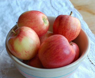 Українські городники відстають від світового рівня на 10-15 років