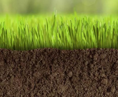 Як підготувати ґрунт під газон своїми руками