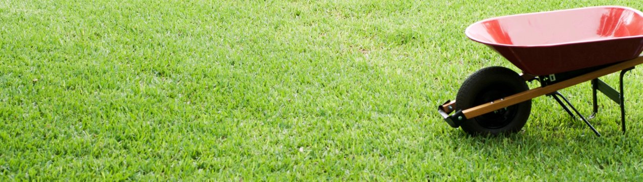 Газон для лінивих своїми руками