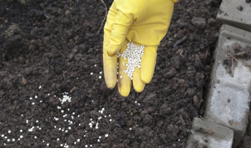 Добриво для ґрунту