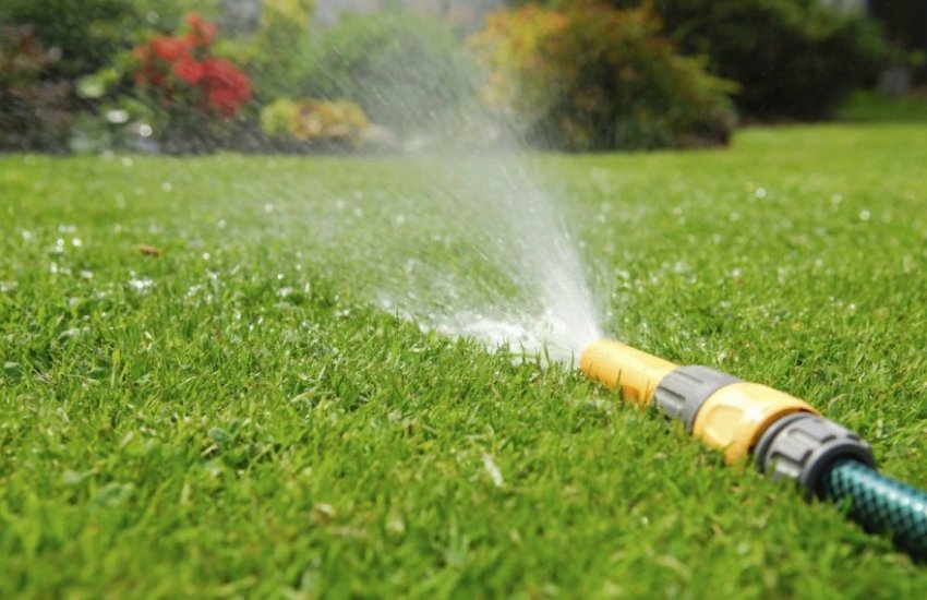 Зрошення газону