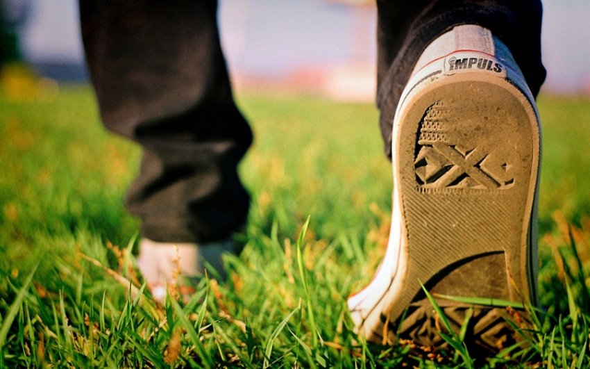 Перевірка газону на необхідність поливу