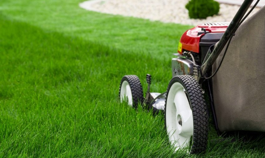 Стрижка газону