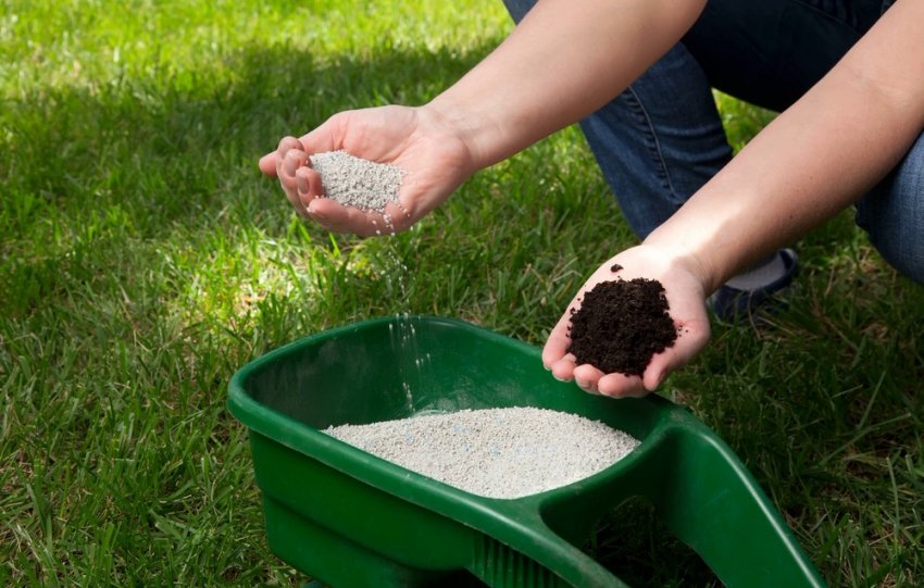 Добриво для газону