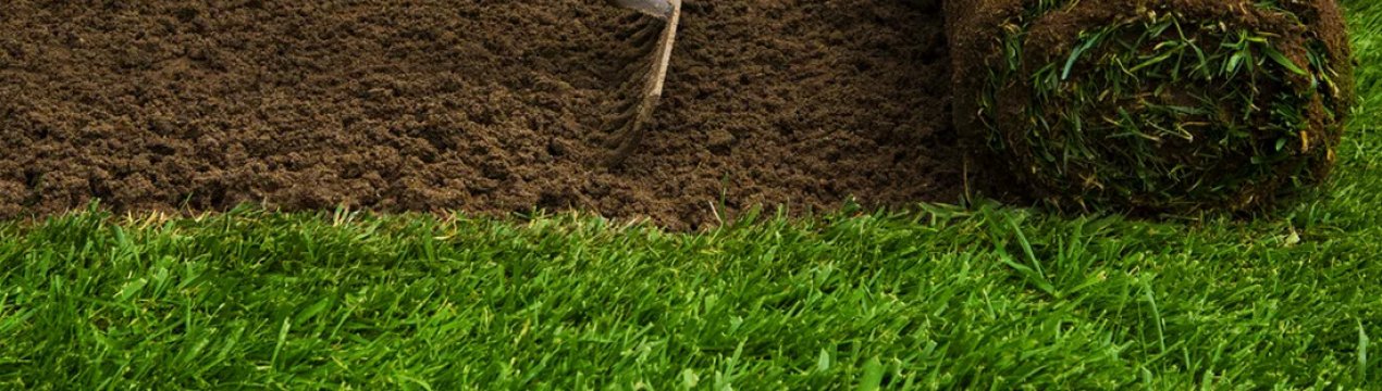 Технология выращивания рулонного газона