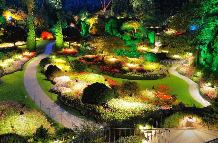 Підсвітка рослинності Підсвітка рослинності