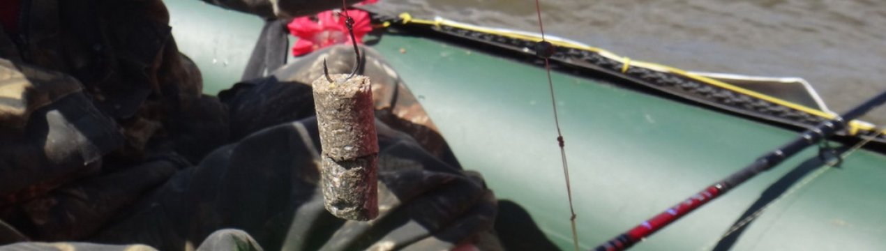 Як ловити білого амура на очерет