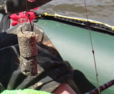 Як ловити білого амура на очерет