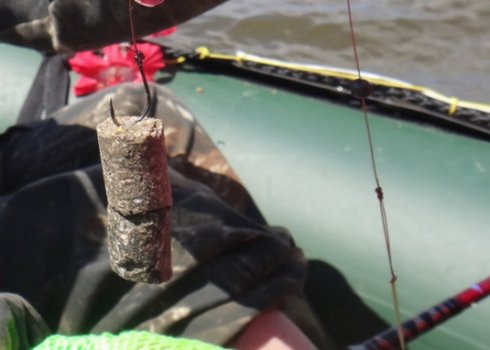 Как ловить белого амура на камыш