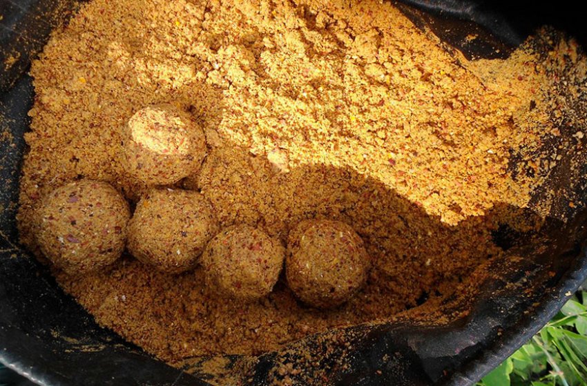 Прикормка білого амура