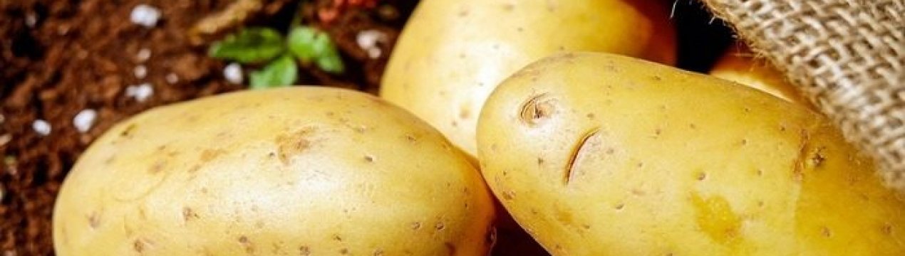 Британські фермери знайшли спосіб реалізації затопленого картопля