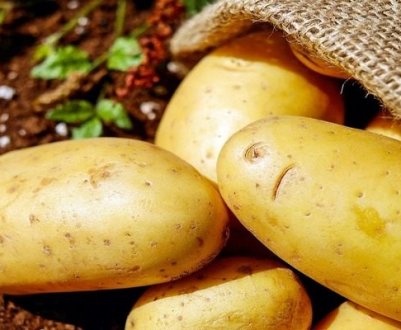 Британські фермери знайшли спосіб реалізації затопленого картопля