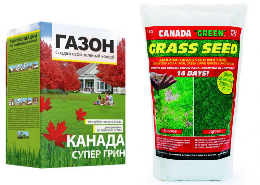Канада грин газонная трава. Канада Грин эко газонная трава. Канада супер Грин газонная трава. Семена травы Канада Грин. Трава газонная канадский Грин семена.