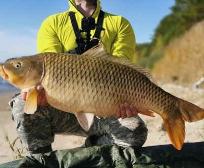 Риболовля на сазана восени