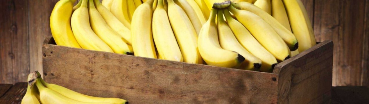 Еквадор експортував рекордний обсяг бананів