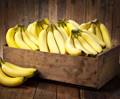 Еквадор експортував рекордний обсяг бананів