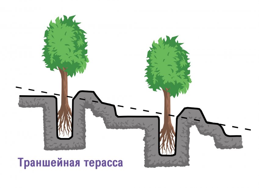 Траншеїна тераса Траншеїна тераса