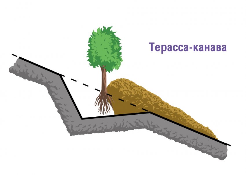 Тераси-канави Тераси-канави