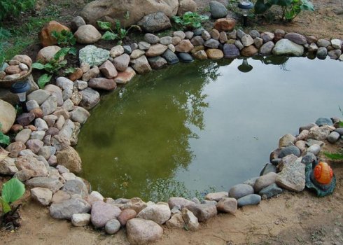 Як створити ставок без плівки на ділянці