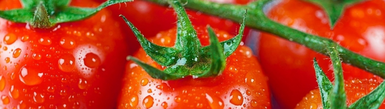 Помідори для вирощування в космосі створили вчені з США