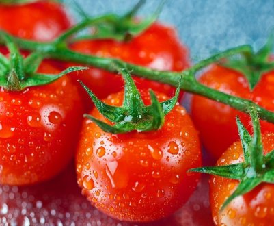 Помідори для вирощування в космосі створили вчені з США