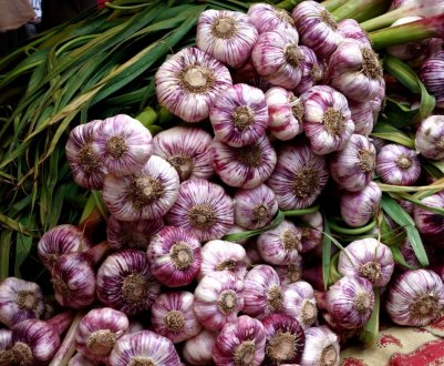 У горах Перу вирощують унікальний фіолетовий часник