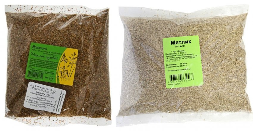 Насіння мятлика