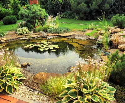 Обладнання глиняного ставка на ділянці