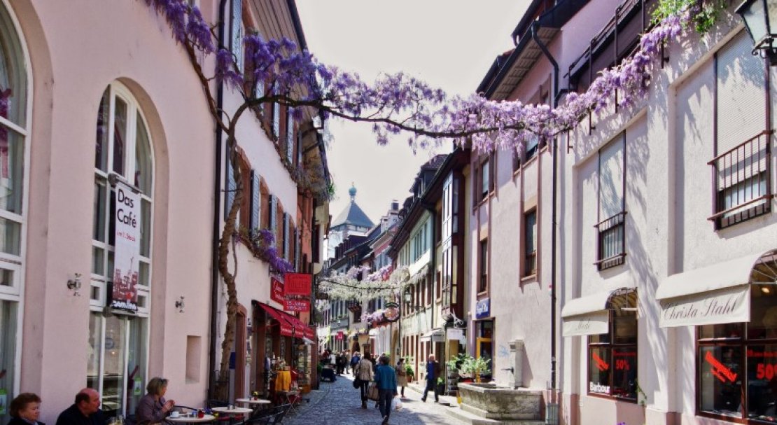 Gartentraume Freiburg 2020