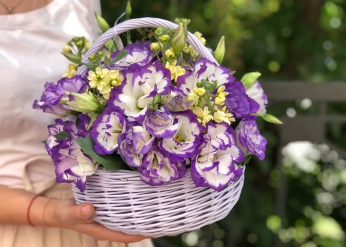 Топ-5 цветов, которые можно и нужно сеять в декабре-январе