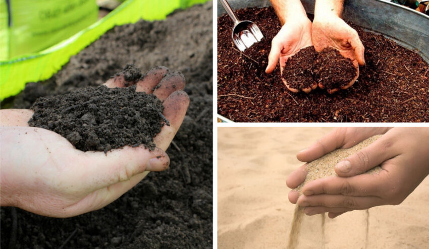 Суміш для підгодовування Суміш для підгодовування
