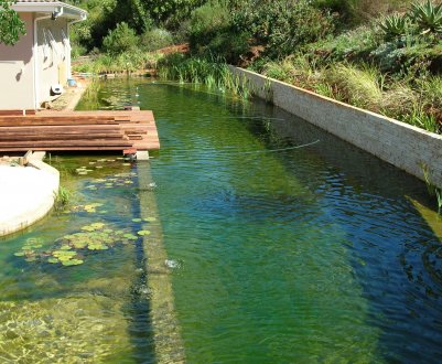 Створення ставка з можливістю для купання в ньому