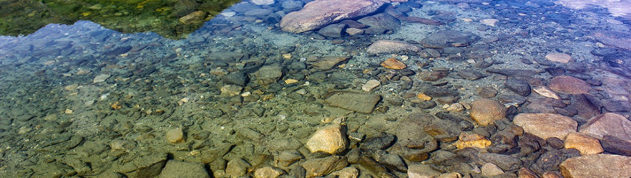 Чем осветлить воду в пруду с рыбой. Смотреть фото Чем осветлить воду в пруду с рыбой. Смотреть картинку Чем осветлить воду в пруду с рыбой. Картинка про Чем осветлить воду в пруду с рыбой. Фото Чем осветлить воду в пруду с рыбой