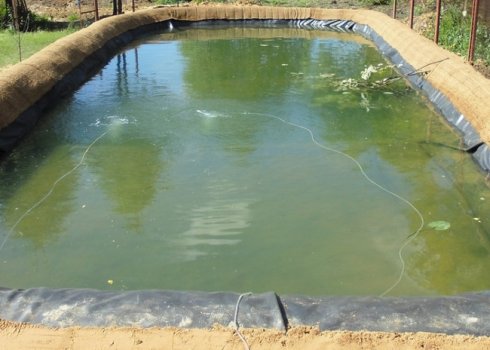 Як вибрати геотекстиль для ставка