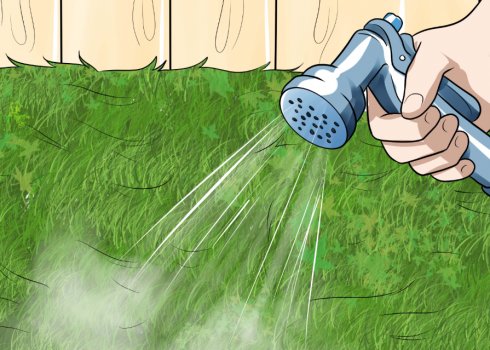 Гідрозасів газону на дачі