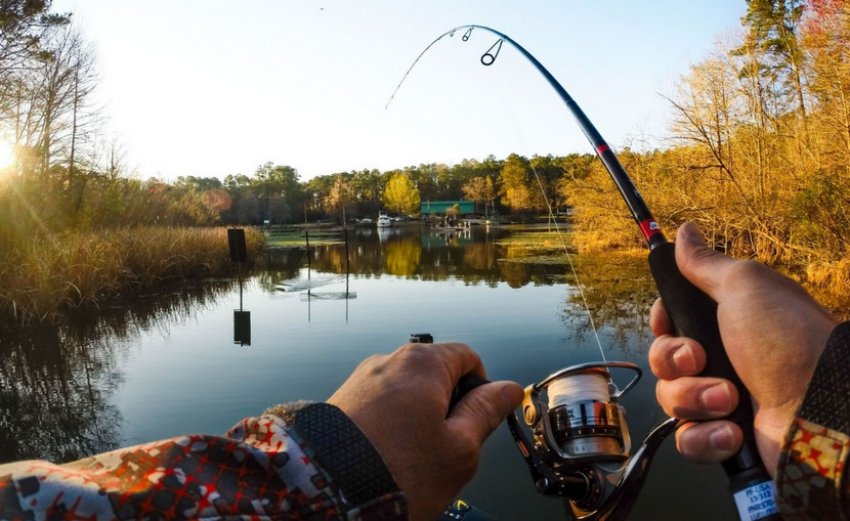 Риболовля на білого амура