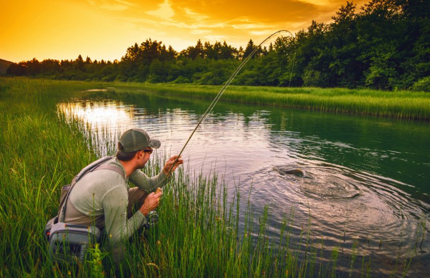 Літня риболовля