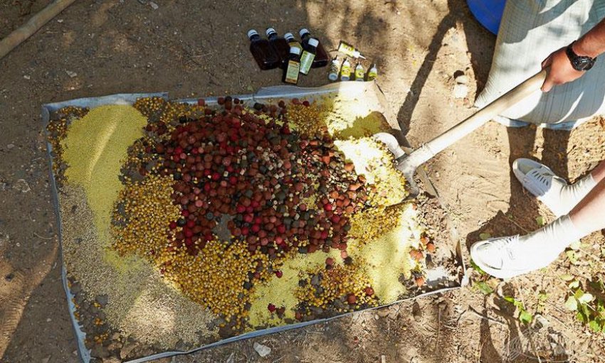 Прикормка на амура