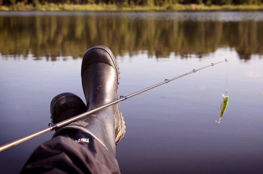 Риболовля на сазана