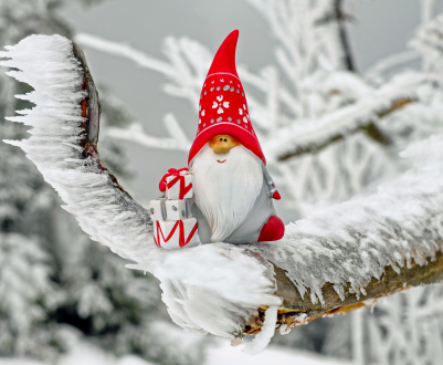 Команда Fermer.blog вітає з Новим 2020 роком!