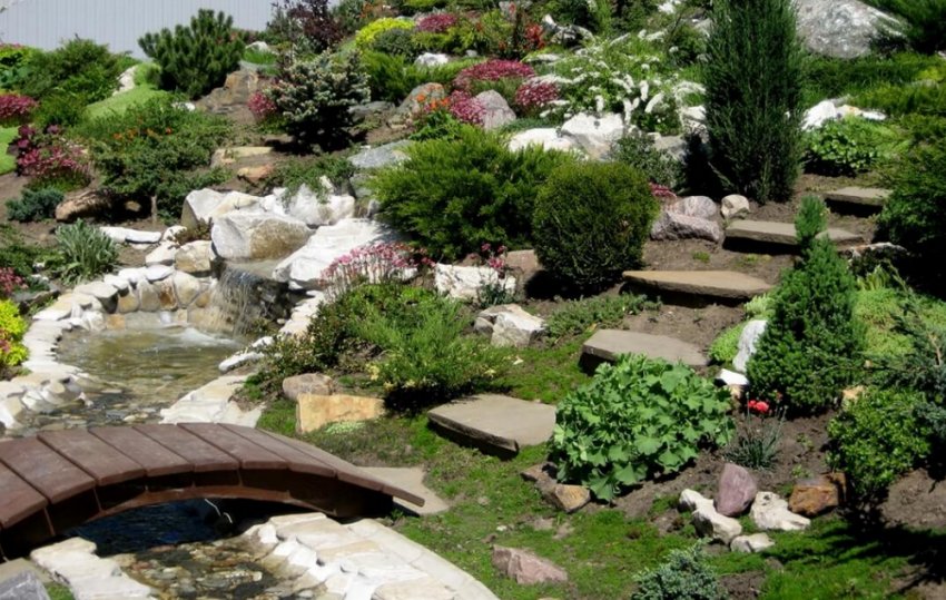 Пруд на схилі