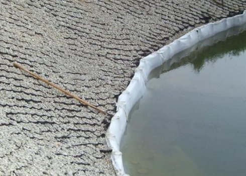 Підсилення узбережжя водойми на дачній ділянці, основні методи і чим можна підсилити