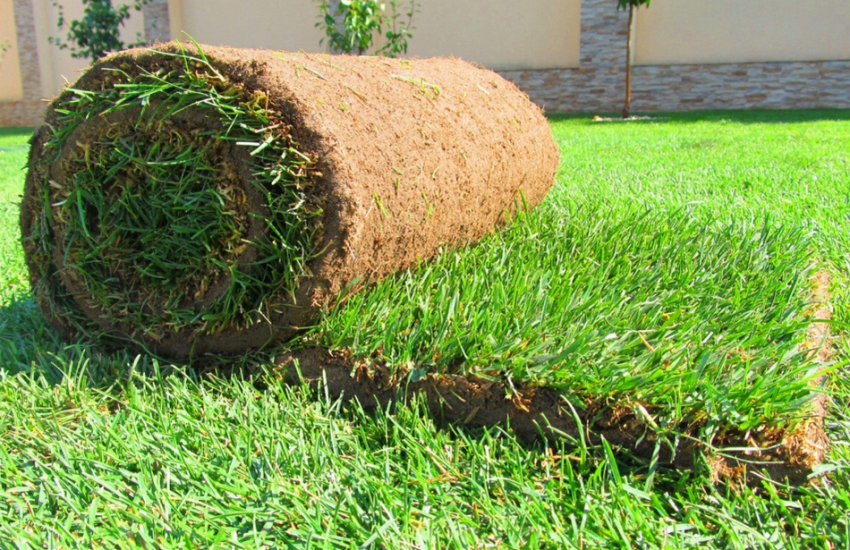 Універсальний рулонний газон