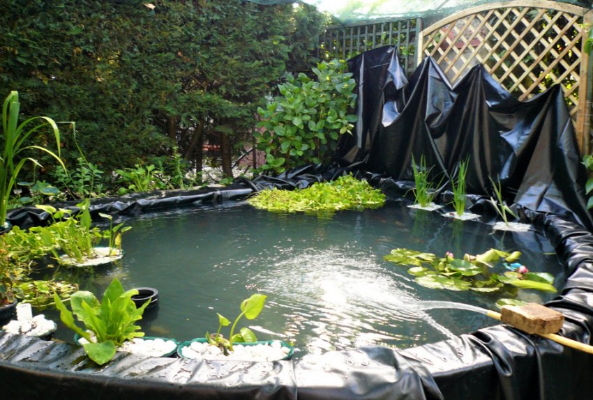 Поліетилен для ставка Поліетилен для ставка