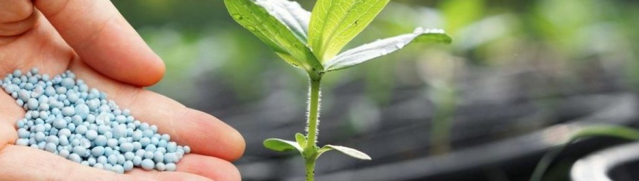 Узбекистан створив унікальні біоудобрення