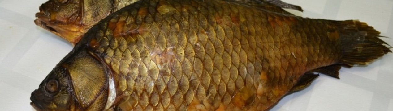 Як правильно посолити сазана для гарячого та холодного копчення