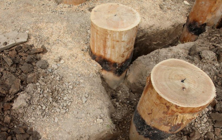 Занурення брусів листвяниці в ґрунт Занурення брусів листвяниці в ґрунт